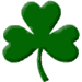 trefle shamrock